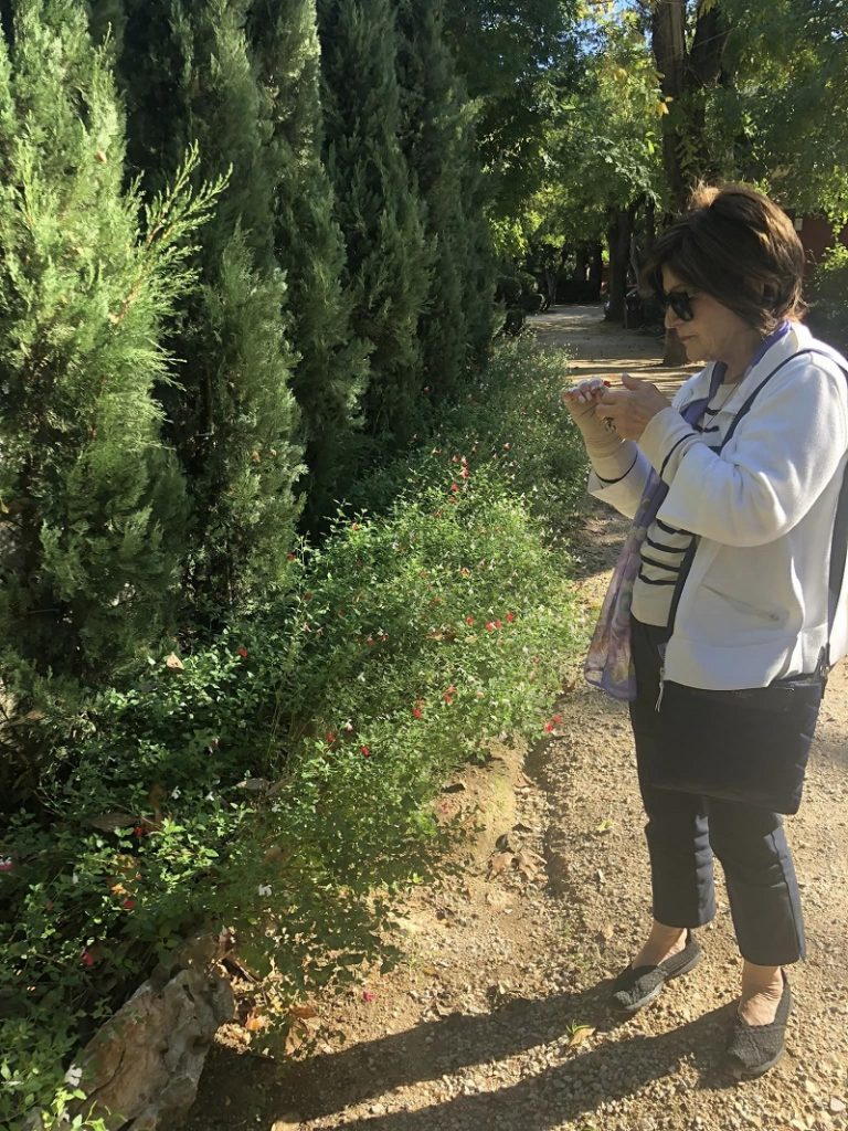 Αυτή η εικόνα δεν έχει ιδιότητα alt. Το όνομα του αρχείου είναι kifisia.alsos3_.151123-768x1024.jpg